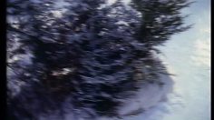 poster-18895-credit-lyonnais-la-patineuse-236x132