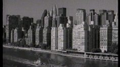 poster-18910-protection-environnement-proprete-de-new-york-les-rats-236x132