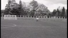 poster-18968-nike-stars-du-foot-236x132