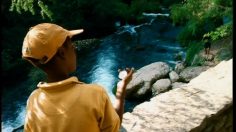 poster-18974-petrole-hahn-pires-l-entrainement-236x132