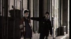 poster-18985-adidas-jeunes-236x132