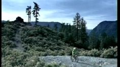 poster-19093-ford-escape-hybrid-kermit-the-frog-236x132