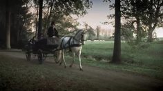 poster-19180-acadomia-soutien-scolaire-lewis-carroll-236x132