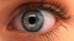 poster-19206-fearnet-site-de-films-d-horreur-warped-236x132