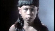 poster-1921-protection-environnement-foret-amazonienne-crane-rase-236x132