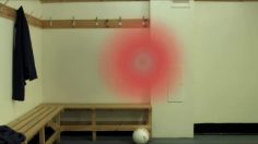 poster-19226-adidas-f50-tunit-snake-236x132