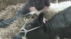 poster-19264-ray-ban-lunettes-never-hide-236x132