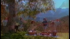 poster-1928-heinz-ketchup-fourmis-236x132