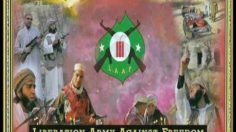 poster-19285-protection-sante-feu-d-artifice-flemish-liberation-army-against-freedom-236x132