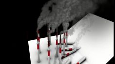 poster-19323-citroen-reduire-236x132