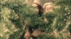 poster-19338-lynx-deodorant-caveman-236x132