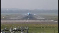 poster-19353-protection-animaux-amazing-jumbo-236x132