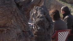 poster-19365-nike-petanque-236x132