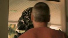 poster-19385-orange-orange-tv-alien-236x132