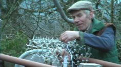 poster-19391-samsung-led-technology-extreme-shepherding-236x132