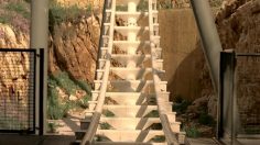 poster-19426-securite-routiere-rollercoaster-236x132