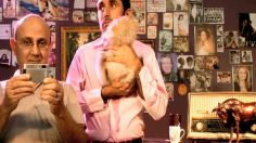 poster-19429-sony-t200-dog-236x132