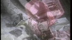 poster-1944-freixenet-andy-macdowell-236x132