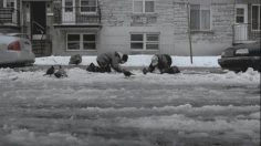 poster-19477-sloche-gadoue-degustation-236x132