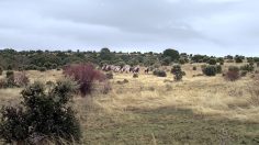 poster-19511-mercedes-benz-e-class-coupe-beauty-236x132