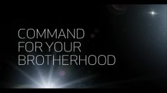 poster-19547-adidas-basketball-shoes-orlando-236x132