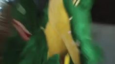 poster-19600-bigralis-reptile-236x132