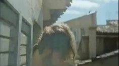 poster-19611-la-poste-il-est-ou-le-colis-236x132