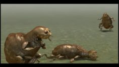 poster-19629-hewlett-packard-hp-flea-circus-236x132