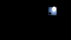 poster-19631-samsung-galaxy-a-day-in-the-life-236x132