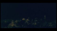 poster-19637-vancouver-international-film-festival-viff-disturbing-236x132