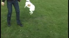 poster-19644-grand-shoes-really-big-sizes-236x132