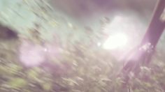 poster-19648-lilica-ripilica-miroirs-236x132