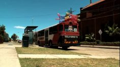 poster-19656-max-music-max-summer-236x132