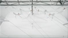 poster-19657-vaseline-sheer-infusion-une-danse-en-douceur-236x132