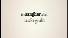 poster-19699-monjournaloffert-fr-sanglier-236x132
