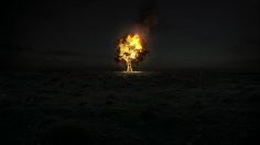 poster-19731-james-boags-pure-the-island-236x132