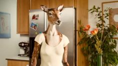 poster-19768-orangina-gouter-236x132