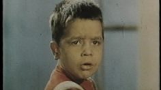 poster-1977-dop-boutique-236x132