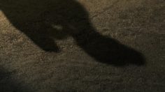 poster-19787-fondation-abbe-pierre-pour-le-logement-des-defavorises-ombres-236x132