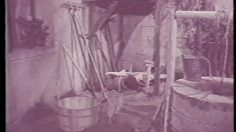 poster-1979-dop-shampooing-le-puit-236x132