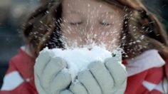 poster-19810-l-l-bean-snow-motion-236x132