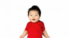 poster-19849-gerber-the-gerber-generation-236x132