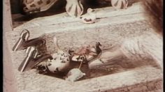 poster-1985-dop-les-enfants-236x132