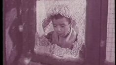 poster-1986-dop-shampooing-la-cuisine-236x132