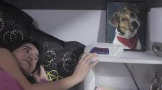 poster-19869-ps3-singstar-video-game-singstar-236x132