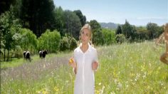 poster-19881-marque-repere-bio-village-lait-bio-236x132