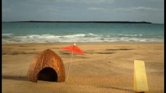 poster-19899-sloche-cheddar-tropical-filet-236x132