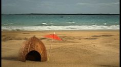 poster-19900-sloche-cheddar-tropical-flechettes-236x132