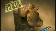 poster-19902-sloche-swompe-swompe-236x132