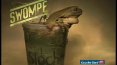 poster-19903-sloche-swompe-grenouille-236x132